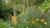 Image: garden planting detail, Argyll